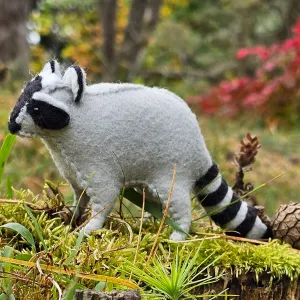 Felt Raccoon Sewing Kit