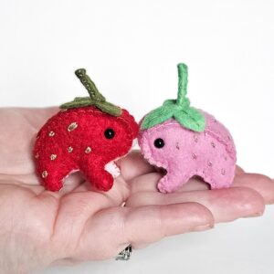 Mini Strawberry Frog Sewing Kit